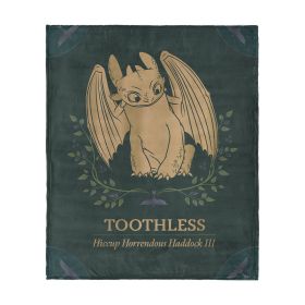 How to Train Your Dragon Hiccup and Toothless Silk Touch Throw Blanket 60x80 inches