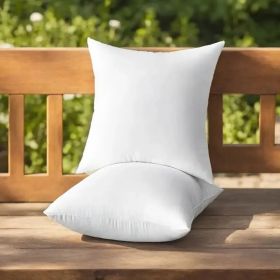 Throw Pillows, 1pack (Option: 20inchx26inch)