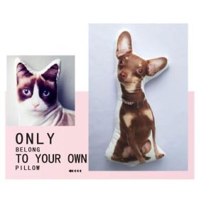 Customize Irregular Pillow Pet Pillow (Option: 50x50-Two sides)