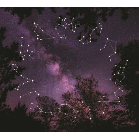 TAP -- Wall Covering Fabric (Option: TAP083-150x170cm)