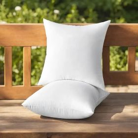 Throw Pillows (Option: W13724782)