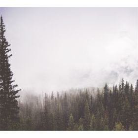 TAP -- Wall Covering Fabric (Option: TAP054-150x170cm)