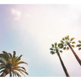 TAP -- Wall Covering Fabric (Option: TAP010-150x170cm)